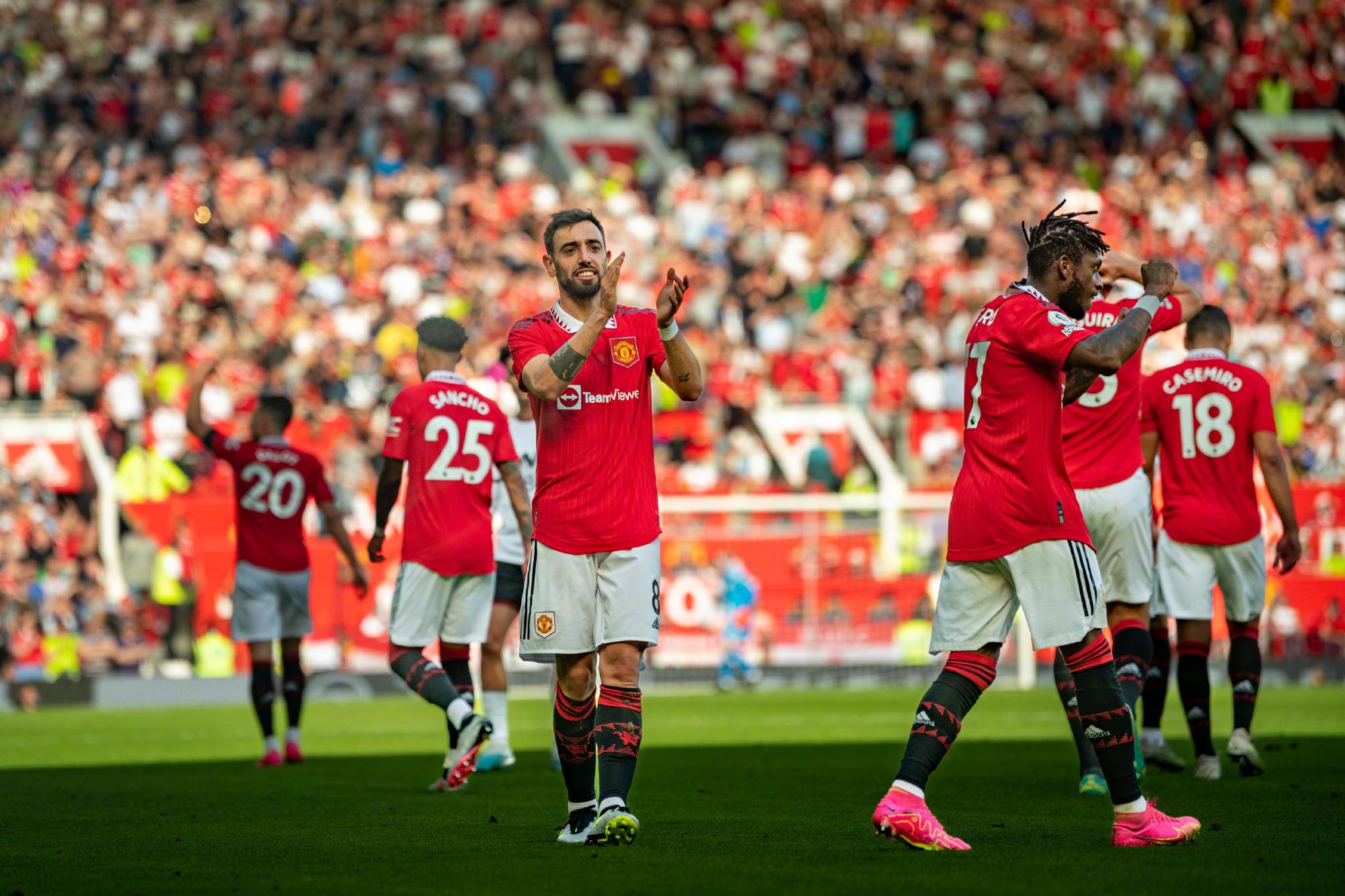 情感联结 情感联结